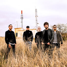 Shed Seven
