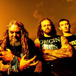 Artist picture of Soulfly