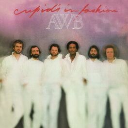 Artist picture of The Average White Band