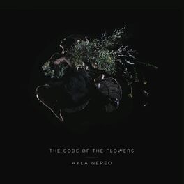 Artist picture of Ayla Nereo