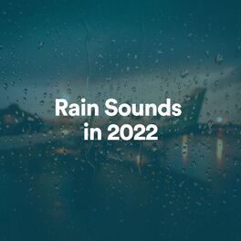 Artist picture of Rain Meditations