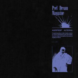 Artist picture of Peel Dream Magazine