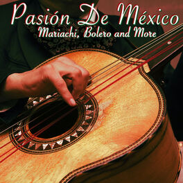 Artist picture of Musica Mexicana