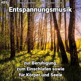 Artist picture of Entspannungsmusik Matthias Veny