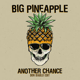 Artist picture of Big Pineapple