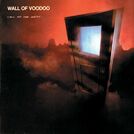 Wall of Voodoo