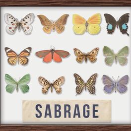 Artist picture of Sabrage