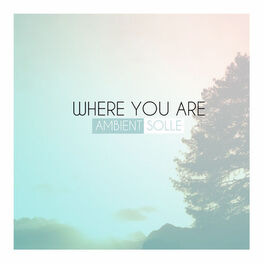 Artist picture of Ambient Solle