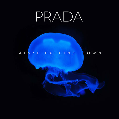Prada: albums, songs, playlists | Listen on Deezer