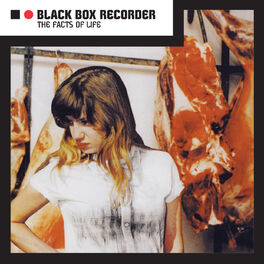 Artist picture of Black Box Recorder
