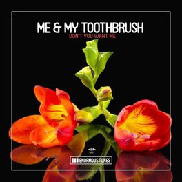 Artist picture of Me & My Toothbrush
