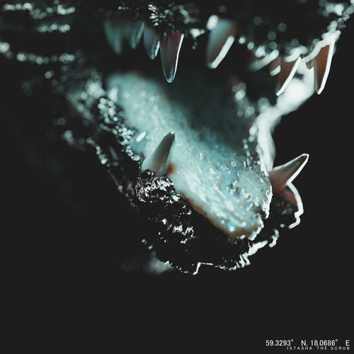 Istasha albums, chansons, playlists À écouter sur Deezer