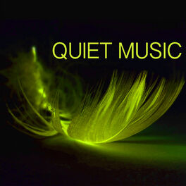 Artist picture of Quiet Music Academy