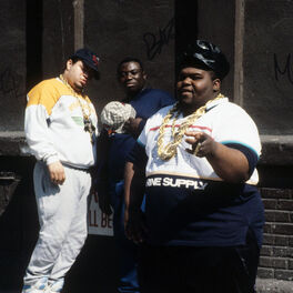 Artist picture of Fat Boys