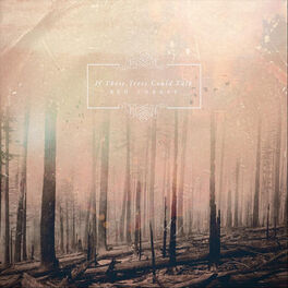 If These Trees Could Talk