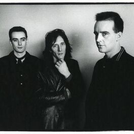 Artist picture of The Ruts
