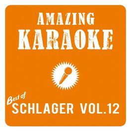 Artist picture of Amazing Karaoke