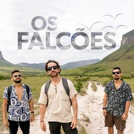 Artist picture of Os Falcões