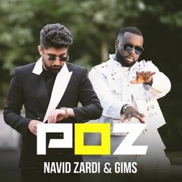 Artist picture of Navid Zardi