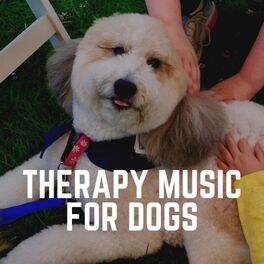 Artist picture of RelaxMyDog