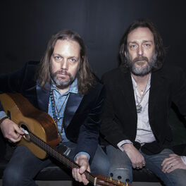 Artist picture of The Black Crowes