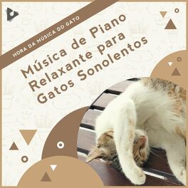 Artist picture of Hora da Música do Gato