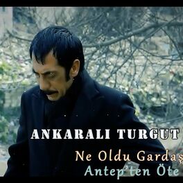 Artist picture of Ankaralı Turgut