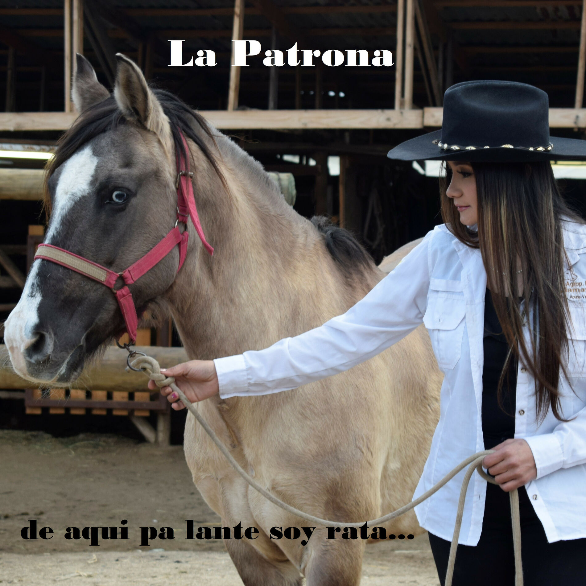 La Patrona: música, canciones, letras | Escúchalas en Deezer