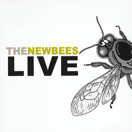 Artist picture of The Newbees