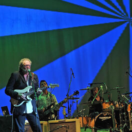 Artist picture of The Grass Roots