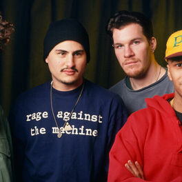 Artist picture of Rage Against the Machine