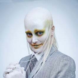 Artist picture of Fever Ray