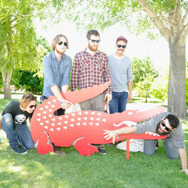 Artist picture of Manchester Orchestra