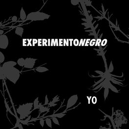 Artist picture of Experimento Negro