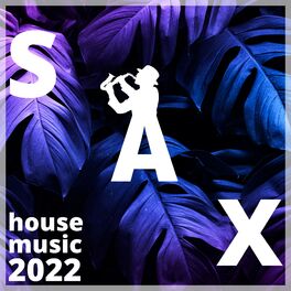 Beach House Chillout Music Academy & Cool Chillout Zone