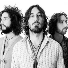 Artist picture of Wille and the Bandits