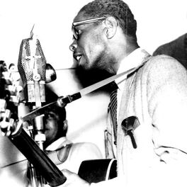 Artist picture of Elmore James