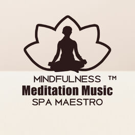 Artist picture of Mindfulness Meditation Music Spa Maestro