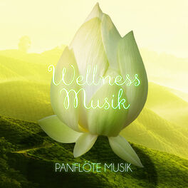 Artist picture of Entspannende Musik Wellness