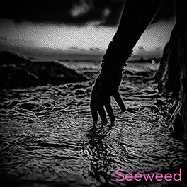 Artist picture of Seeweed