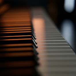 Pianovus