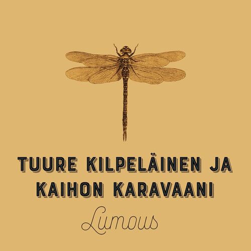 Tuure Kilpeläinen ja Kaihon Karavaani: album, låtar, spellistor | Lyssna i  Deezer