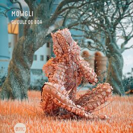 Mowgli