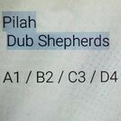 Dub Shepherds