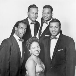 Artist picture of The Platters