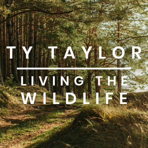 Ty Taylor albums nummers afspeellijsten Luister op Deezer