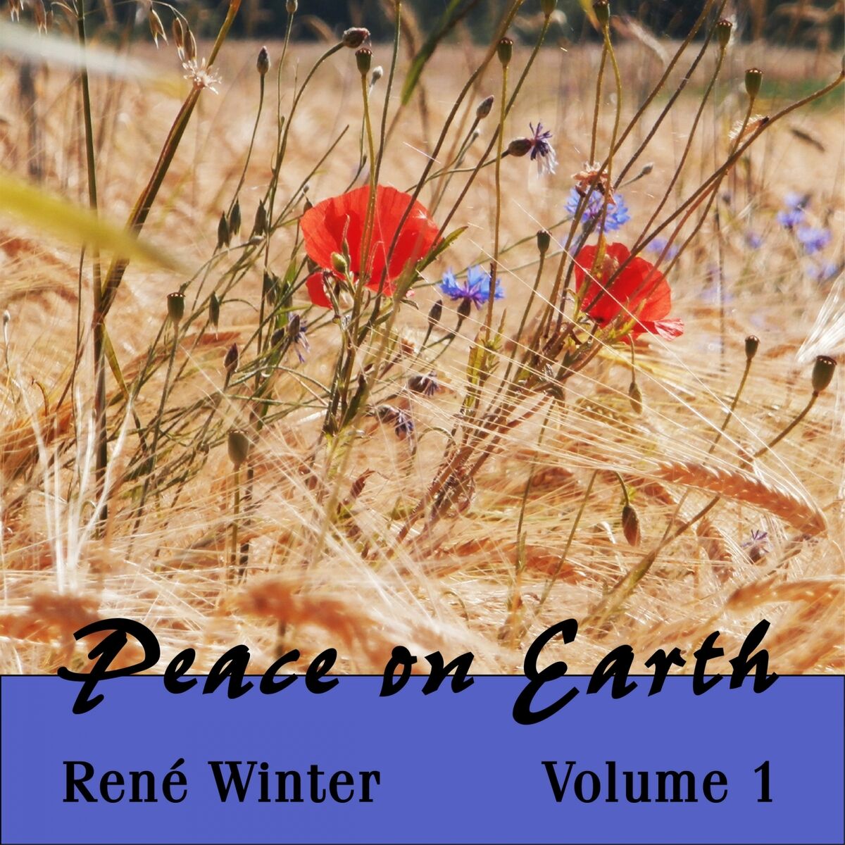 René Winter: albums, songs, playlists | Listen on Deezer