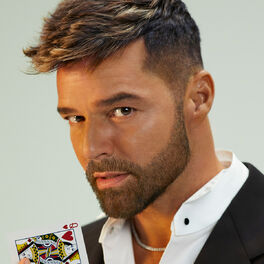 Artist picture of Ricky Martin