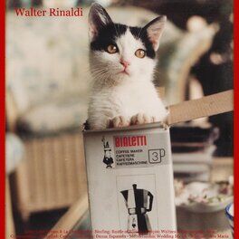 Walter Rinaldi