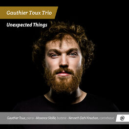 Artist picture of Gauthier Toux Trio